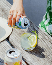 Load image into Gallery viewer, Citrus-y 6-Pack