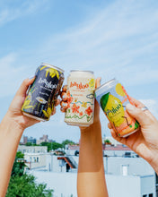 Load image into Gallery viewer, Mixed Pack (6-pack) (Citrus-y no longer included)