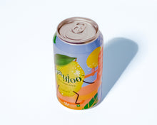 Load image into Gallery viewer, Citrus-y 6-Pack