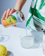 Load image into Gallery viewer, Citrus-y 6-Pack